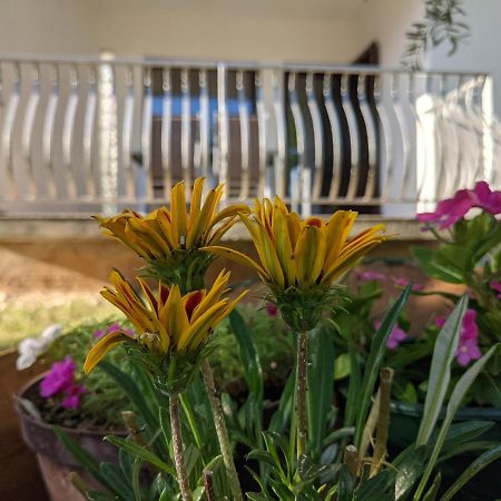 Apartment Ika Baška Buitenkant foto